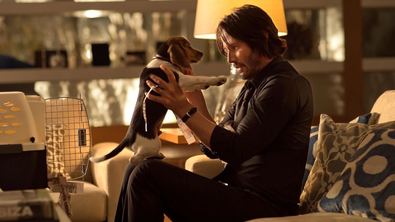 John Wick