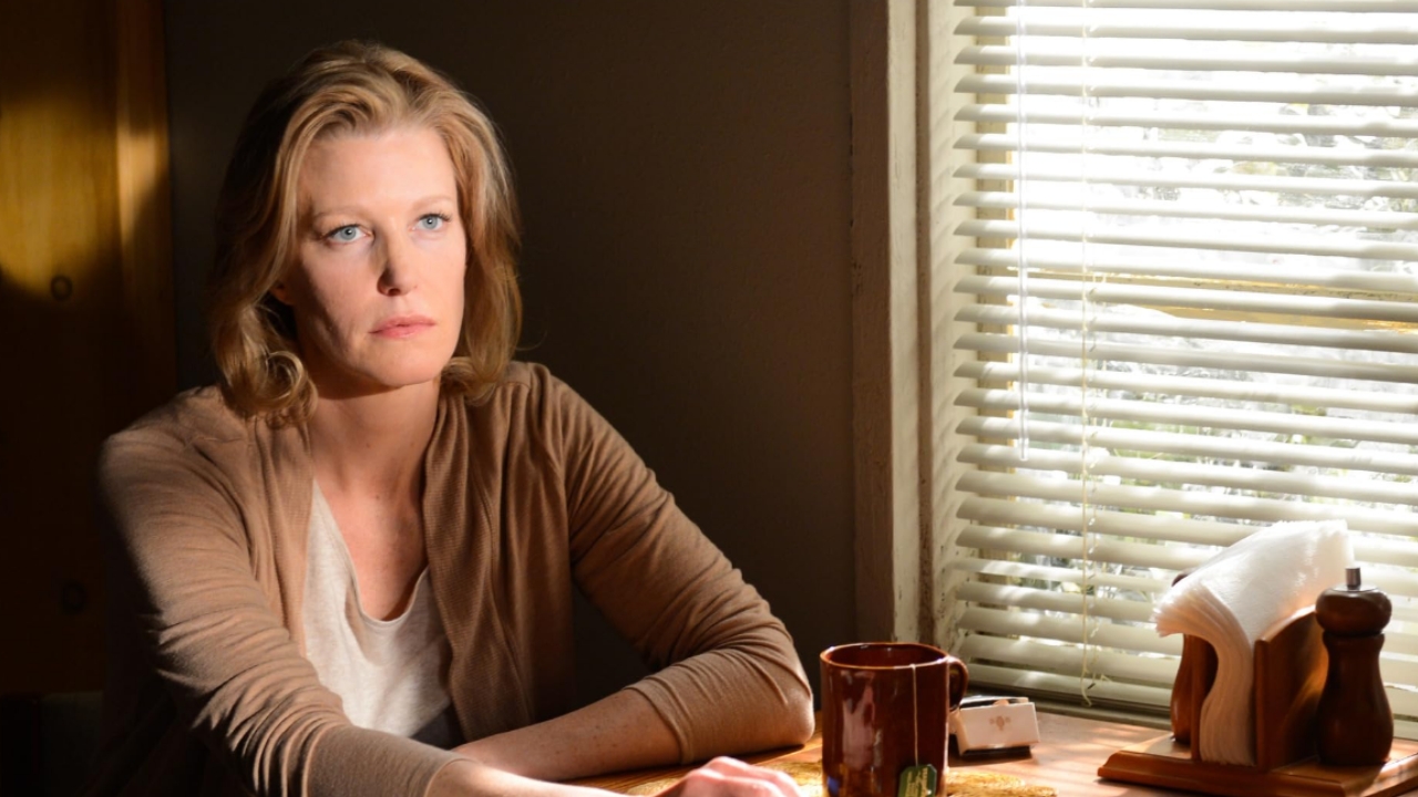 Anna Gunn Breaking Bad 🎮 Outrun Gaming