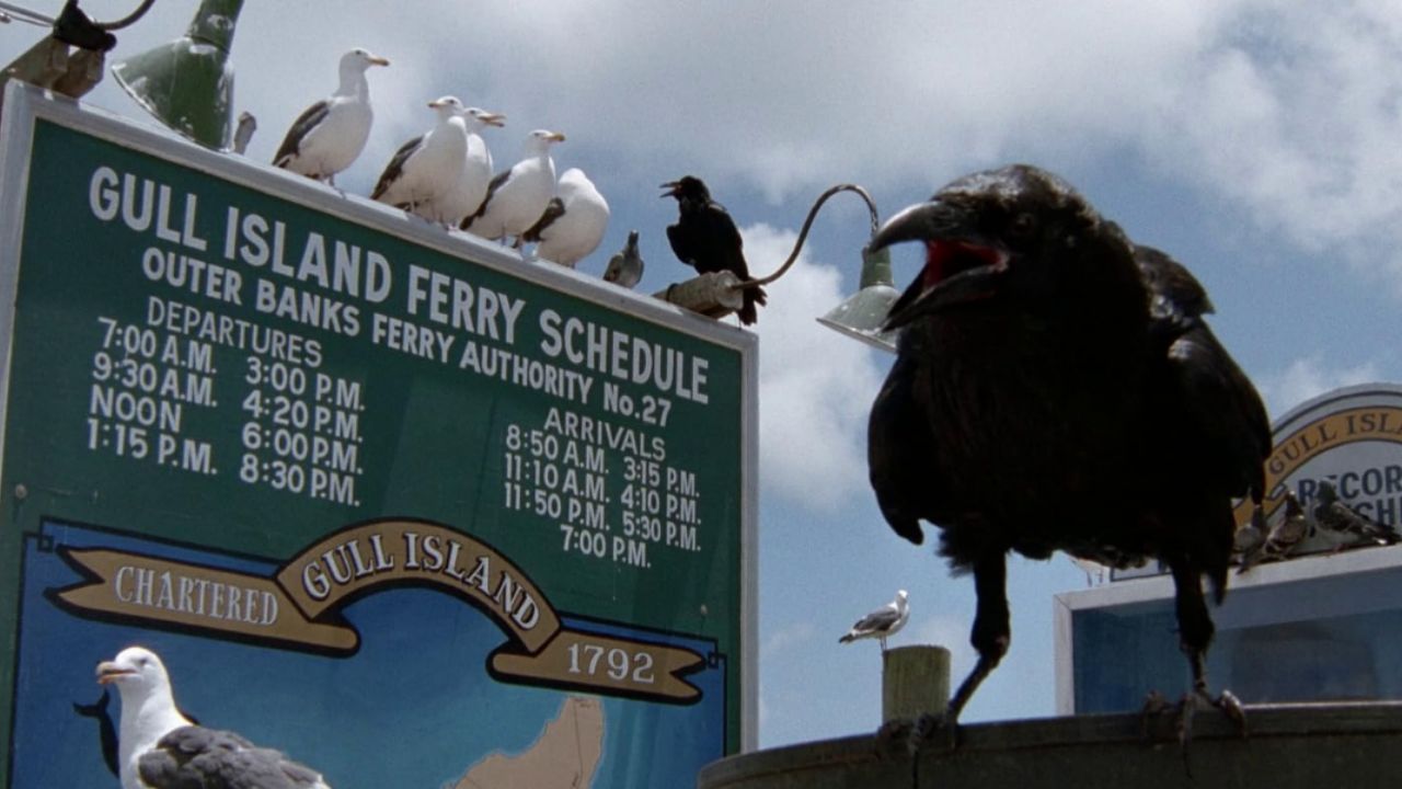 The Birds II Land’s End