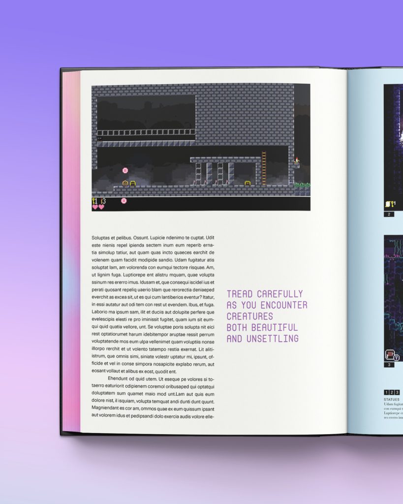 Closer look inside the detailed hardback chronicling indie hit 'Animal Well' from boutique art studio Lost in Cult.