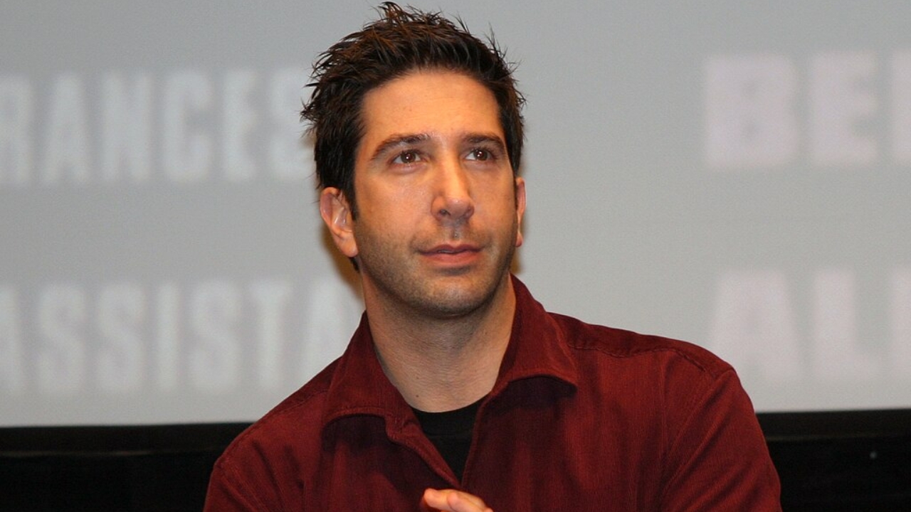 David Schwimmer