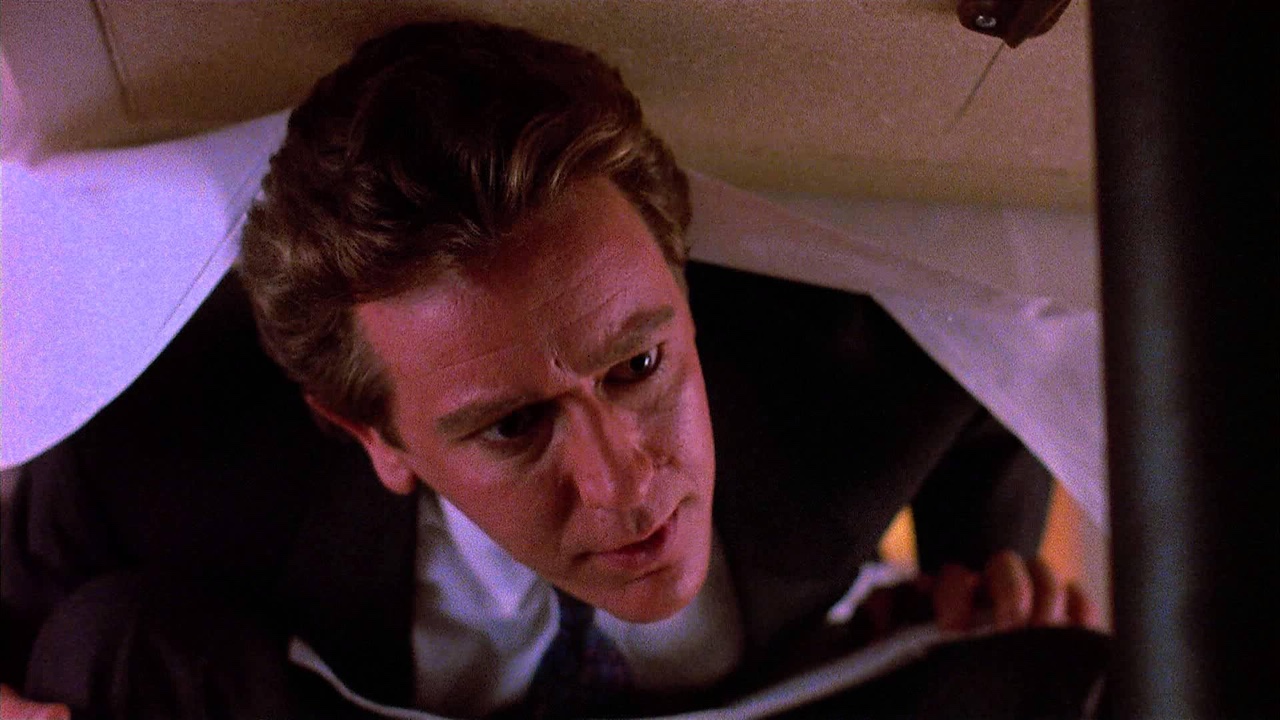 Judge Reinhold in Vice Versa (1988)