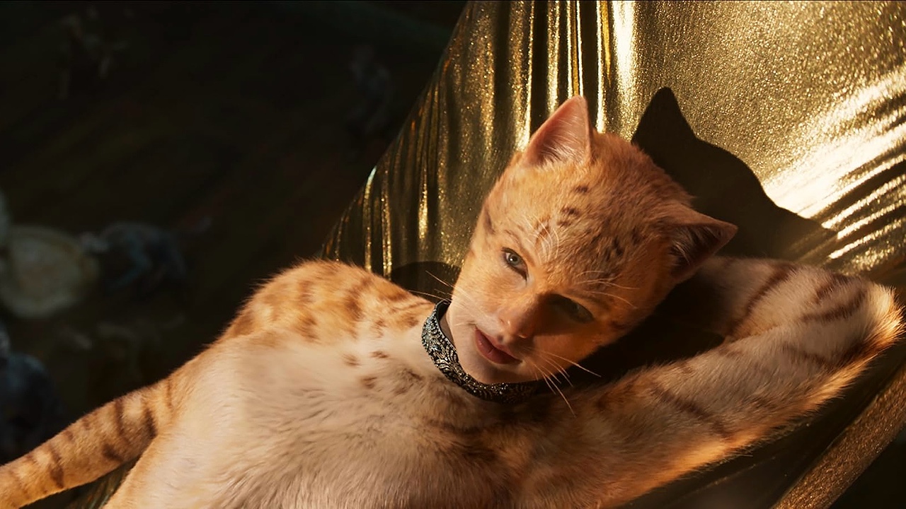 Cats