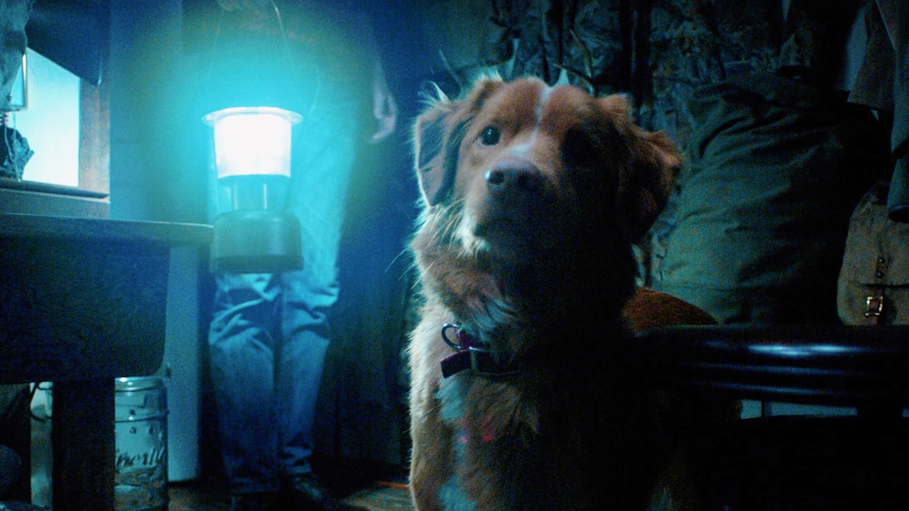 ‘Does the dog die’ searches spike following ‘Good Boy’ trailer