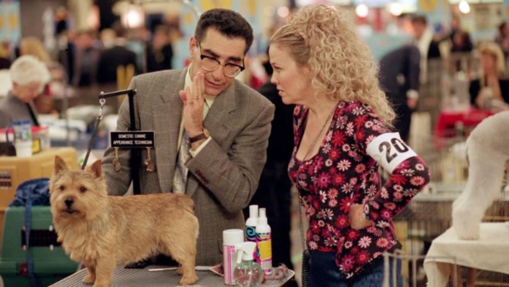 Best in Show