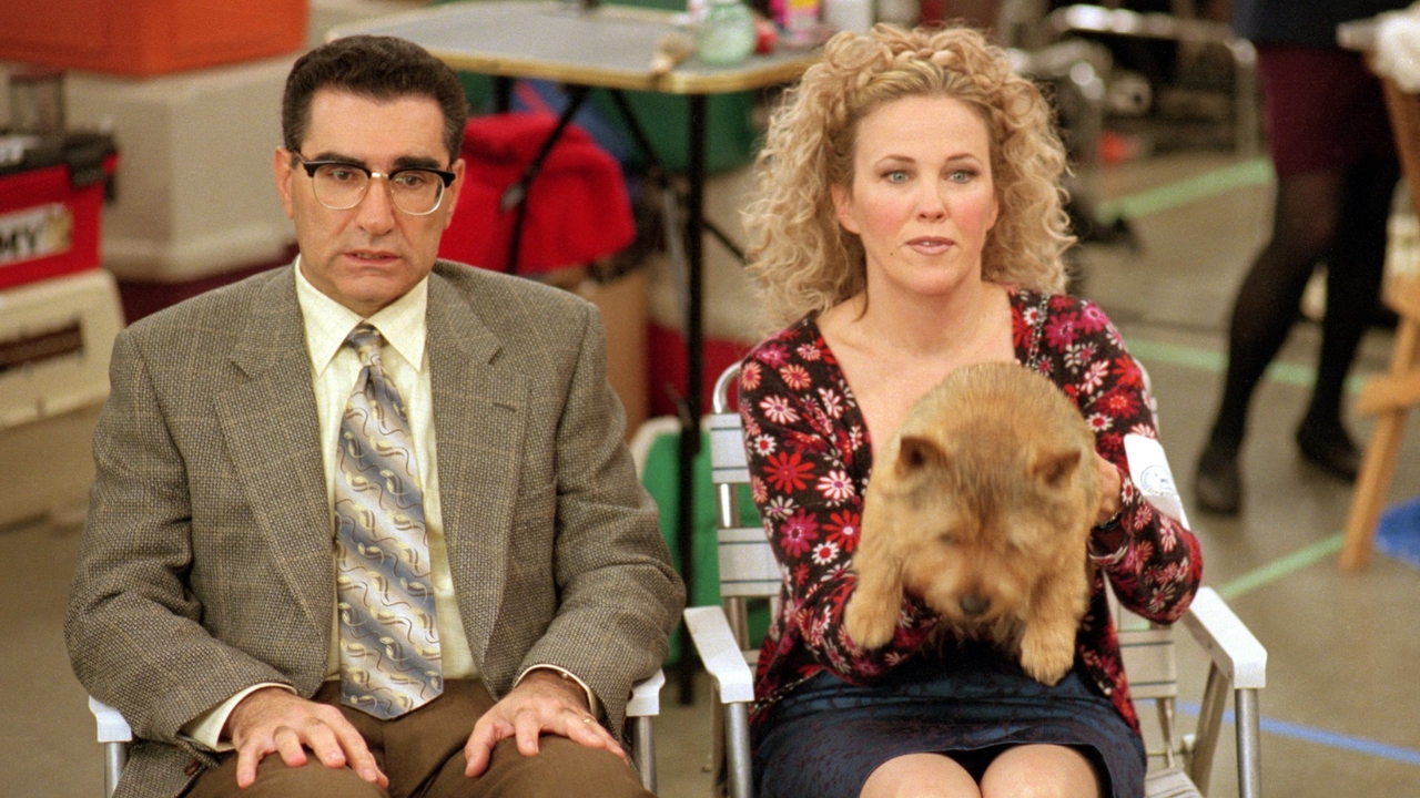 Best in Show movie 🎮 Outrun Gaming Best in Show movie 🎮 Outrun Gaming