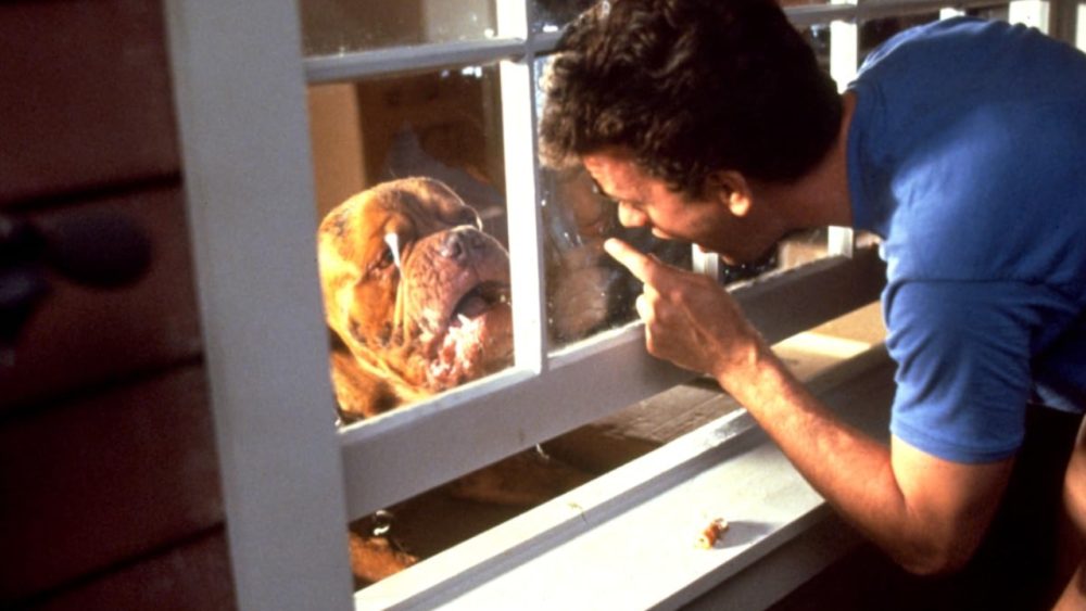 Turner & Hooch